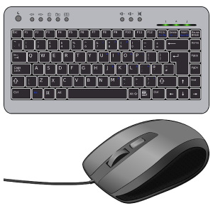 Input Devices