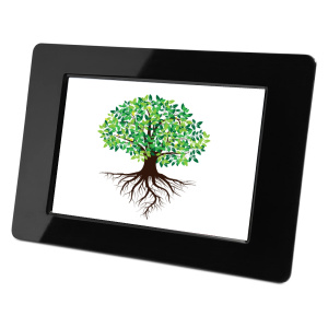 Digital Photo Frames